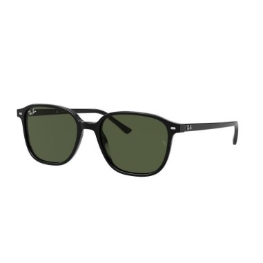 Ray-Ban LEONARD RB2193 901/31