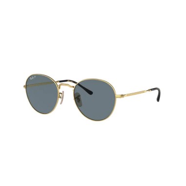 Ray-Ban DAVID RB3582 001/3R