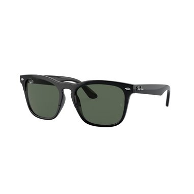 Ray-Ban STEVE RB4487 662971