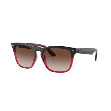 Ray-Ban STEVE RB4487 663113